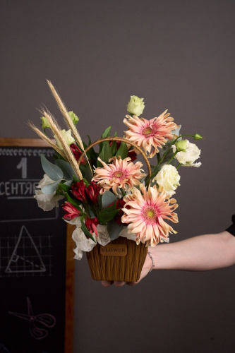 Композиция "День знаний" с герберой арт 15241Дв